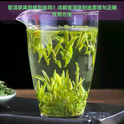 普洱茶真的能刮油吗？详解普洱茶刮油原理与正确饮用方法