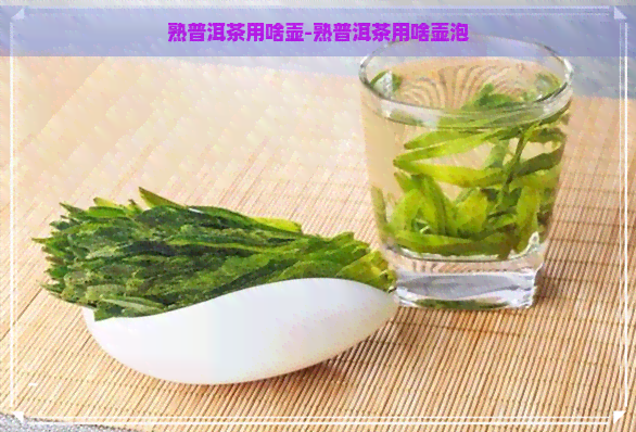 熟普洱茶用啥壶-熟普洱茶用啥壶泡