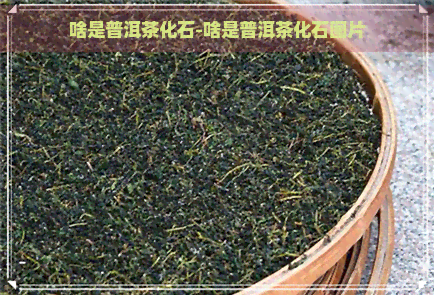 啥是普洱茶化石-啥是普洱茶化石图片