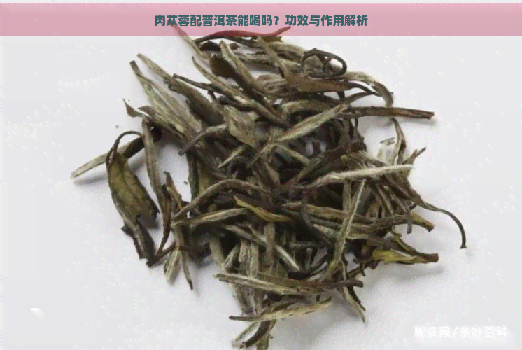 肉苁蓉配普洱茶能喝吗？功效与作用解析