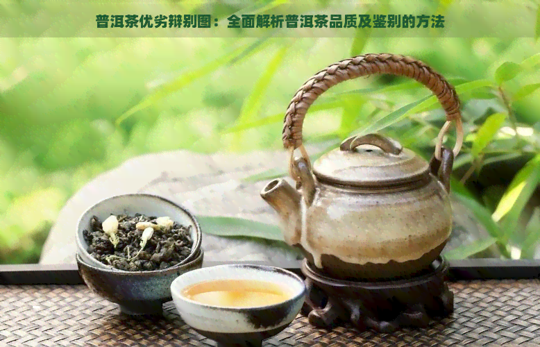 普洱茶优劣辩别图：全面解析普洱茶品质及鉴别的方法