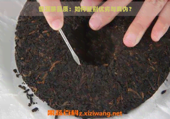 普洱茶品质：如何鉴别优劣与真伪？