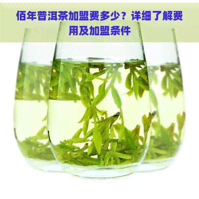 佰年普洱茶加盟费多少？详细了解费用及加盟条件