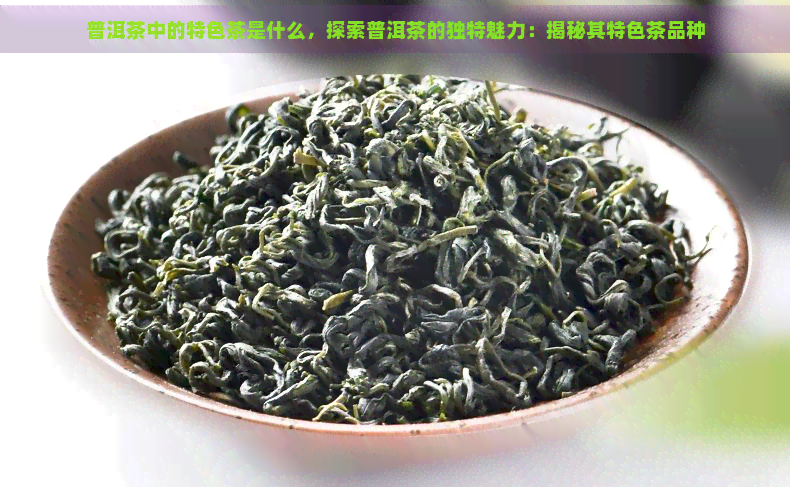 普洱茶中的特色茶是什么，探索普洱茶的独特魅力：揭秘其特色茶品种