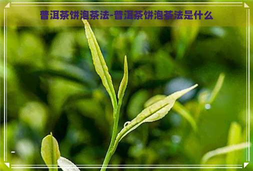 普洱茶饼泡茶法-普洱茶饼泡茶法是什么