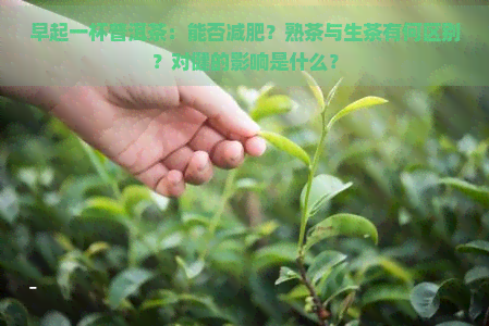 早起一杯普洱茶：能否减肥？熟茶与生茶有何区别？对健的影响是什么？