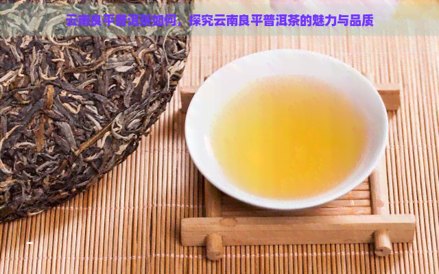 云南良平普洱茶如何，探究云南良平普洱茶的魅力与品质