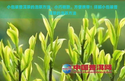 小包装普洱茶的泡茶方法，小巧精致，方便携带！详解小包装普洱茶的泡茶方法