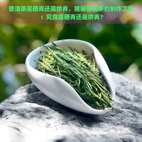 普洱茶是晒青还是烘青，揭秘普洱茶的制作工艺：究竟是晒青还是烘青？