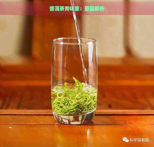 普洱茶青味重：原因解析