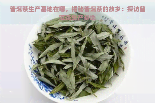 普洱茶生产基地在哪，揭秘普洱茶的故乡：探访普洱茶生产基地