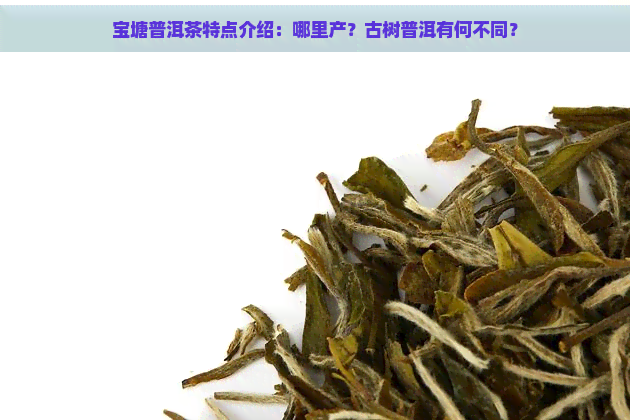 宝塘普洱茶特点介绍：哪里产？古树普洱有何不同？