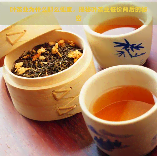 叶茶业为什么那么便宜，揭秘叶茶业低价背后的秘密