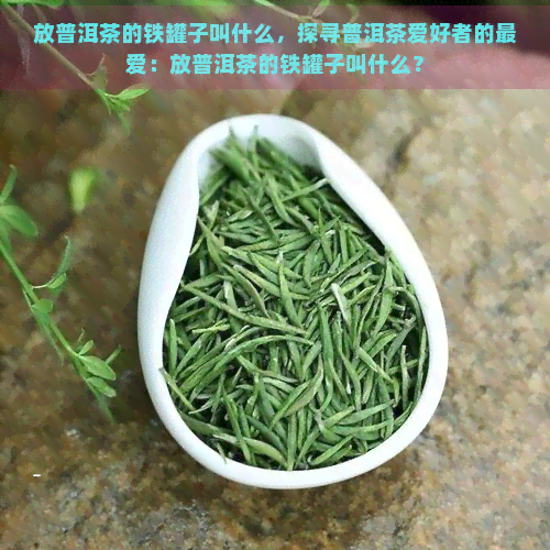 放普洱茶的铁罐子叫什么，探寻普洱茶爱好者的更爱：放普洱茶的铁罐子叫什么？