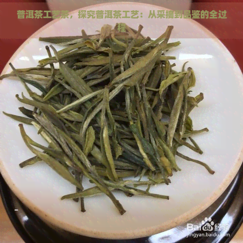 普洱茶工艺茶，探究普洱茶工艺：从采摘到品鉴的全过程