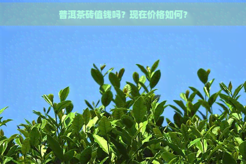 普洱茶砖值钱吗？现在价格如何？