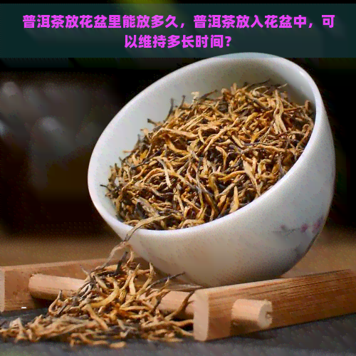 普洱茶放花盆里能放多久，普洱茶放入花盆中，可以维持多长时间？