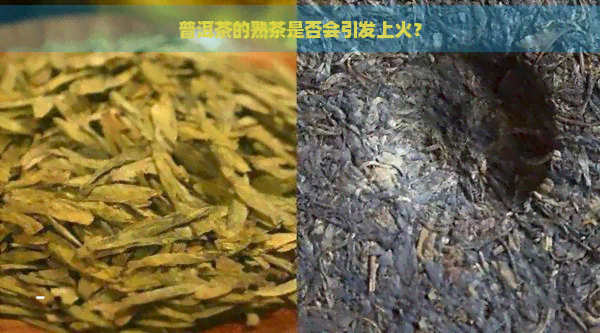 普洱茶的熟茶是否会引发上火？