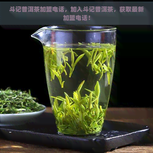 斗记普洱茶加盟电话，加入斗记普洱茶，获取最新加盟电话！