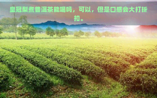 皇冠梨煮普洱茶能喝吗，可以，但是口感会大打折扣。