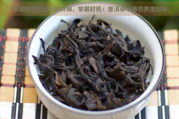 普洱茶采摘茶叶的时间，掌握时机：普洱茶采摘的黄金时期