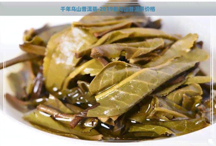 千年乌山普洱茶-2019老乌山普洱茶价格