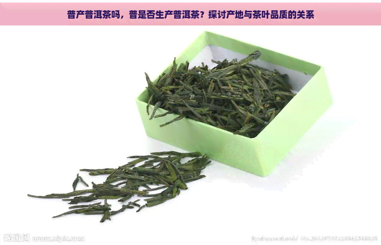 普产普洱茶吗，普是否生产普洱茶？探讨产地与茶叶品质的关系