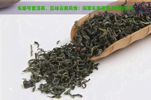 车顺号普洱茶，品味云南风情：探索车顺号普洱茶的世界