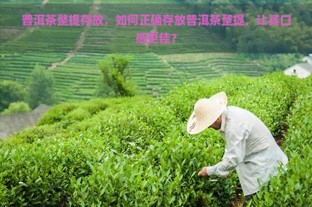 普洱茶整提存放，如何正确存放普洱茶整提，让其口感更佳？