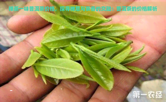 禅茶一味普洱茶价格，探寻禅意与茶香的交融：普洱茶的价格解析