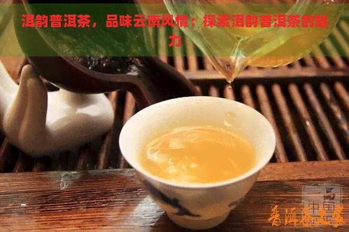 洱韵普洱茶，品味云南风情：探索洱韵普洱茶的魅力