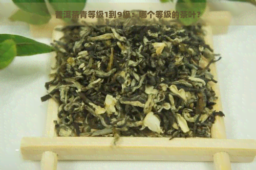 普洱茶青等级1到9级：哪个等级的茶叶？