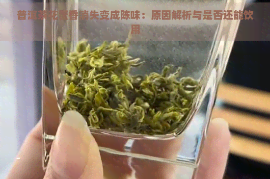 普洱茶花蜜香消失变成陈味：原因解析与是否还能饮用