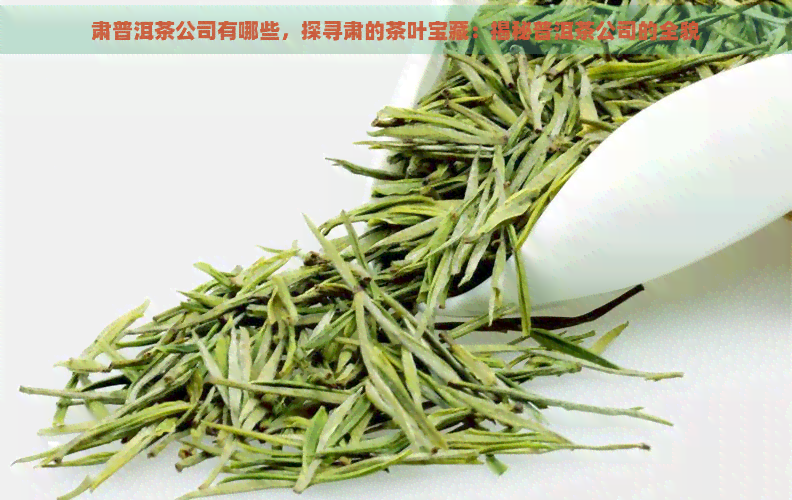 肃普洱茶公司有哪些，探寻肃的茶叶宝藏：揭秘普洱茶公司的全貌