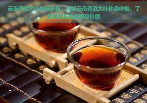 云南普洱大叶种茶价格，揭秘云南普洱大叶种茶价格，了解其背后的故事和价值