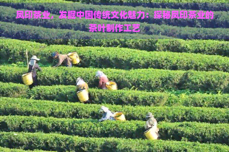 凤印茶业，发掘中国传统文化魅力：探秘凤印茶业的茶叶制作工艺