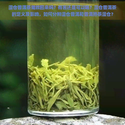 湿仓普洱茶能救回来吗？有害还是可以喝？湿仓普洱茶的定义及影响，如何分辨湿仓普洱和普洱熟茶湿仓？