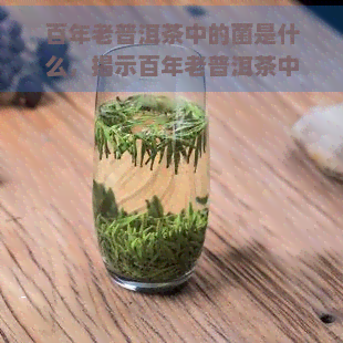 百年老普洱茶中的菌是什么，揭示百年老普洱茶中的神秘菌种