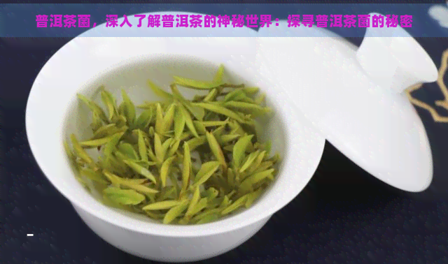 普洱茶菌，深入了解普洱茶的神秘世界：探寻普洱茶菌的秘密