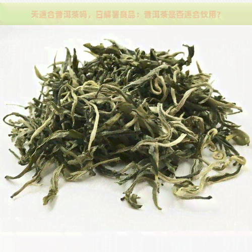 天适合普洱茶吗，日解暑良品：普洱茶是否适合饮用？