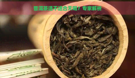 普洱茶适不适合天喝？专家解析