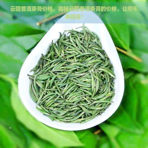 云园普洱茶膏价格，揭秘云园普洱茶膏的价格，让您不再疑惑！