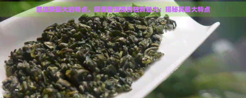 普洱茶更大的特点，探索普洱茶的独特魅力：揭秘其更大特点