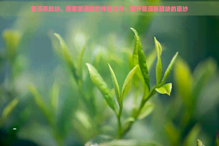 普洱茶胶块，探索普洱茶的神秘世界：揭开普洱茶胶块的面纱