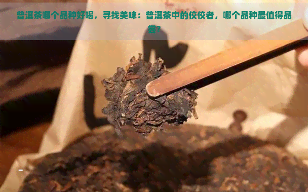 普洱茶哪个品种好喝，寻找美味：普洱茶中的佼佼者，哪个品种最值得品尝？