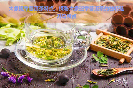 大象班章普洱茶特点，探秘大象班章普洱茶的独特魅力与特点