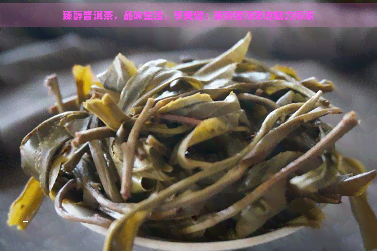 臻醇普洱茶，品味生活，享受健：臻醇普洱茶的魅力探索