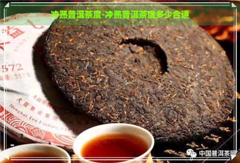 冲熟普洱茶度-冲熟普洱茶度多少合适