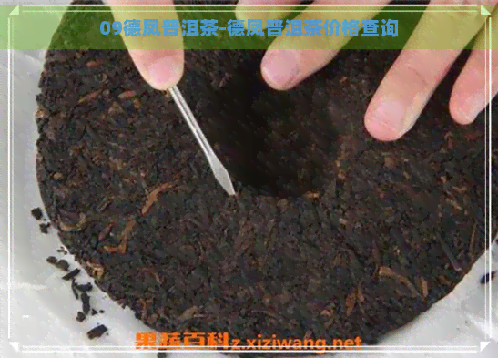 09德凤普洱茶-德凤普洱茶价格查询