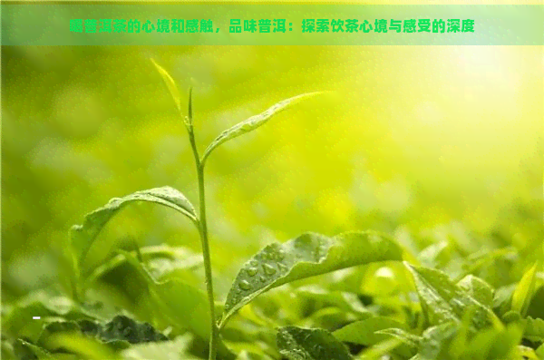 喝普洱茶的心境和感触，品味普洱：探索饮茶心境与感受的深度